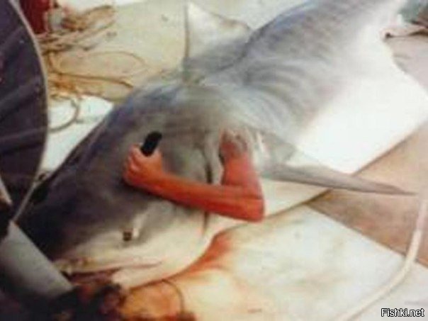 Не фотошоп))