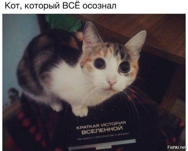 Из солянки