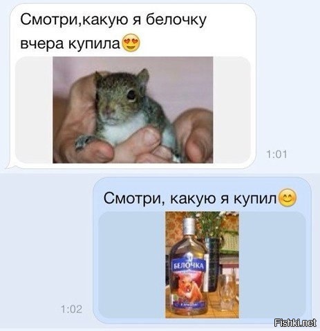 Из солянки