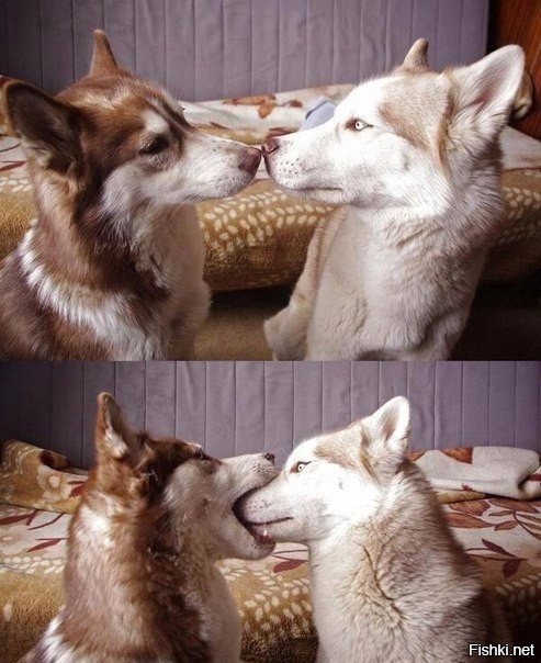 Первый поцелуй