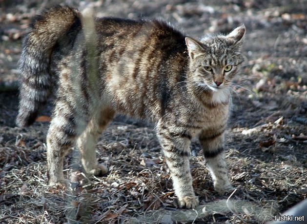 А я ей доверял