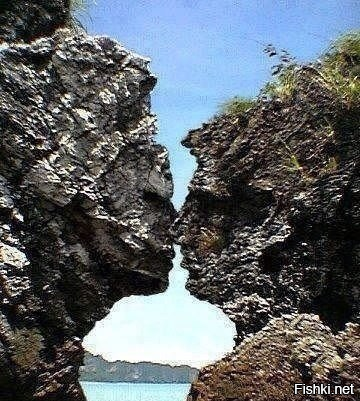 Удачные Кадры ‏@great_shot8  14 ч