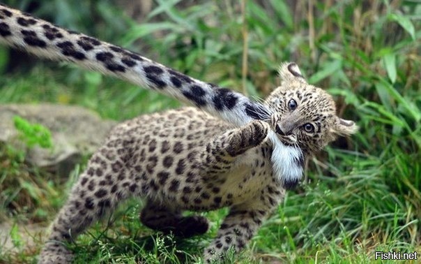 Мама с ребенком в магазине игрушек