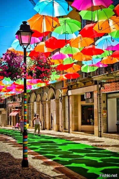 Улица зонтов, Португалия