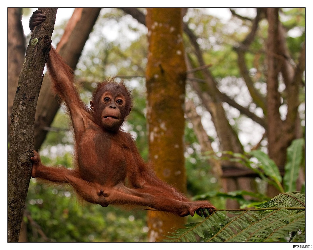 А где-то в Крыму девочка в розовом сарафане