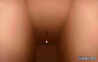 Показалось