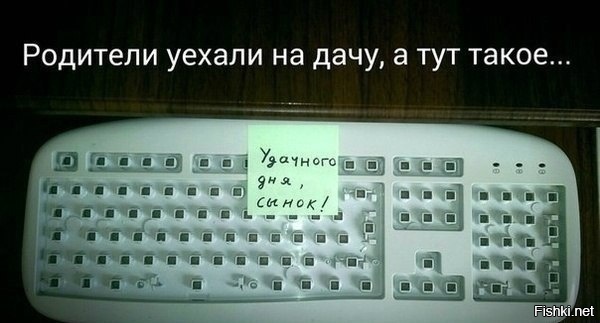 Из солянки