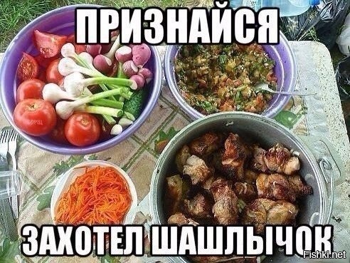 Из солянки