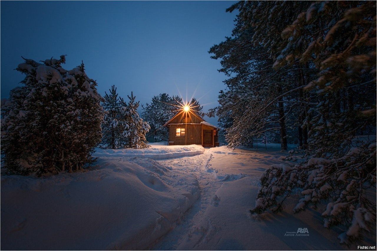 Тропа к лесной избушке, Тверская область
