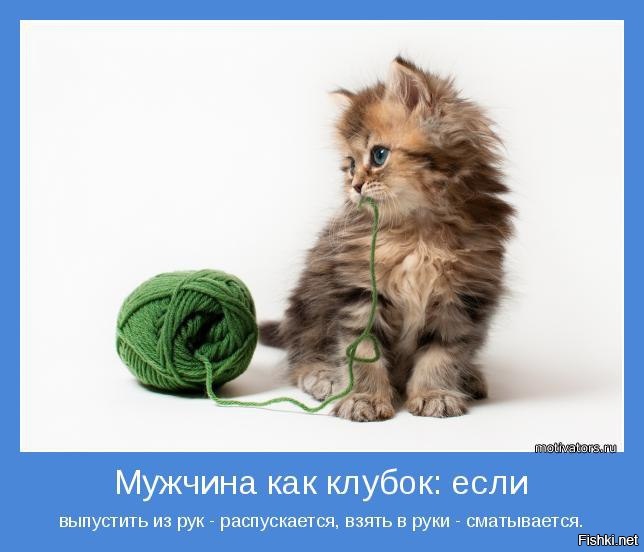 Обо всем27 минут назад