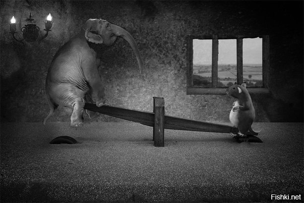 наверняка &quot;баян&quot; 