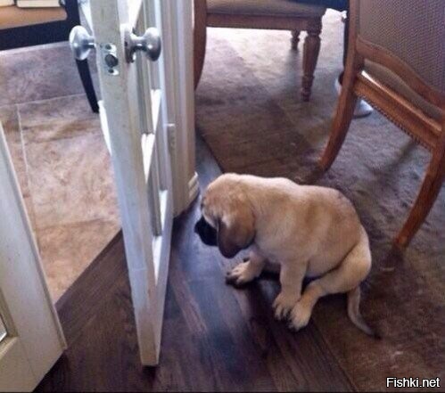 Он расстроен,потому что думает,что дверь закрыта