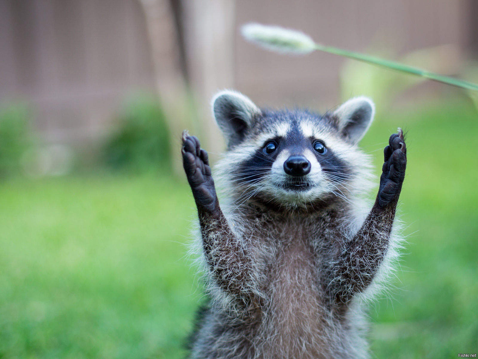 Слава богу - пятница