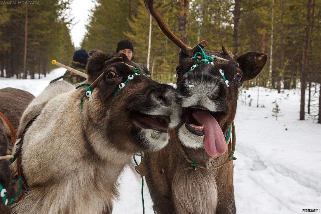 С добрым утром 