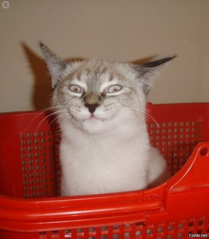 предвкушение вечера пятницы