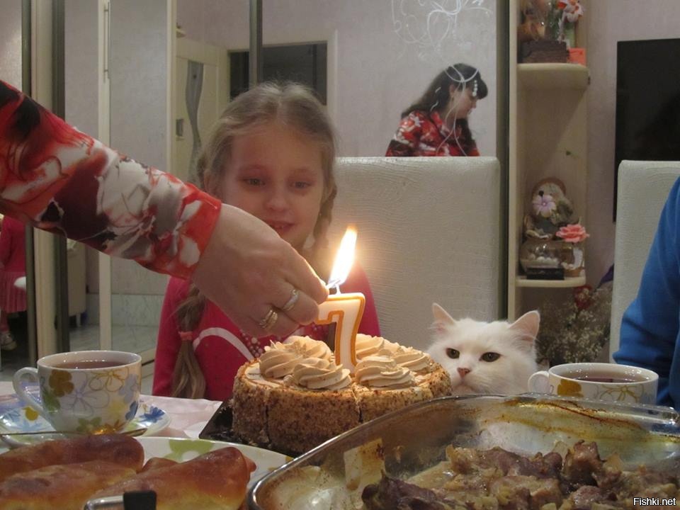 все под контролем 