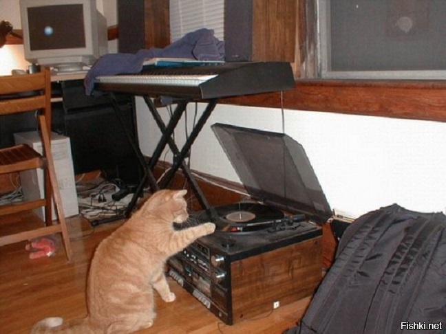 Танцуют все