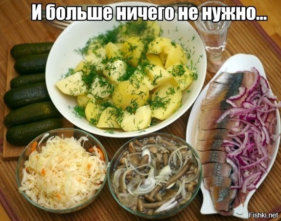 Из солянки