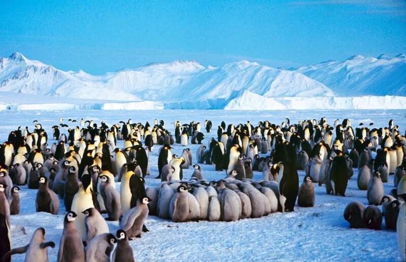 Антарктида, Фотографии 1964 года