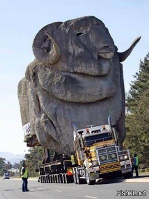 Доминируй, властвуй, унижай