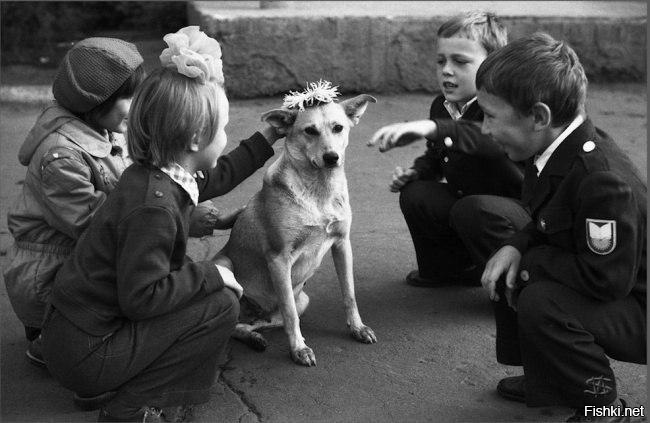 «Венок для собаки»