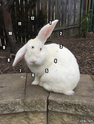 -Косой, который час