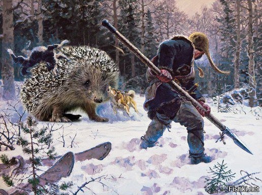Идёт охота на ежа 