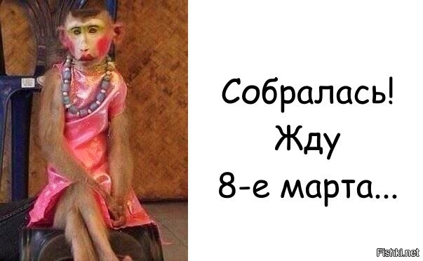 Из солянки