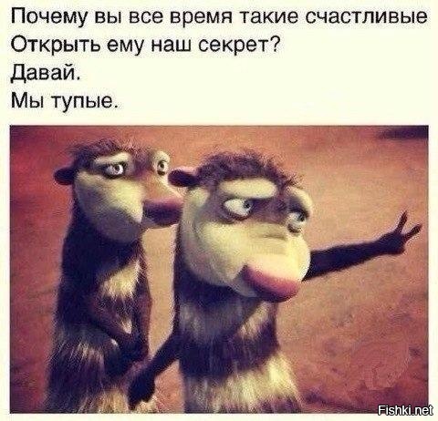 Из солянки