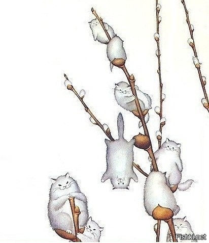 Послезавтра уже весна