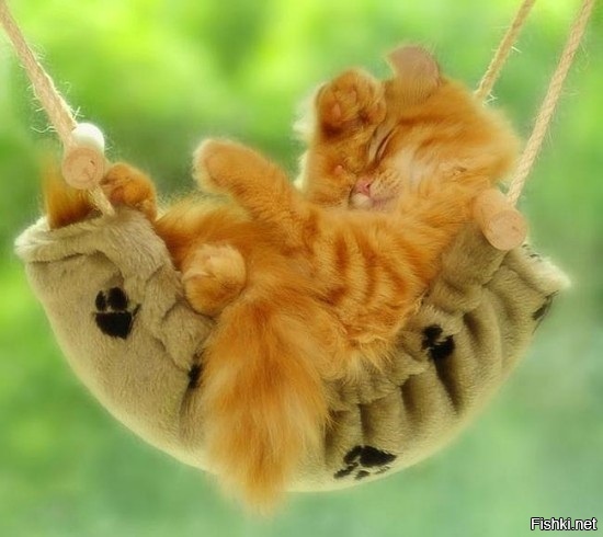 Воскресенье 