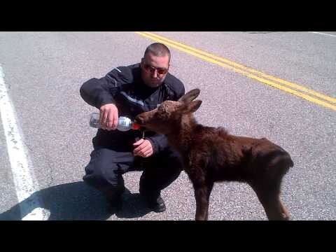 Такой маленький