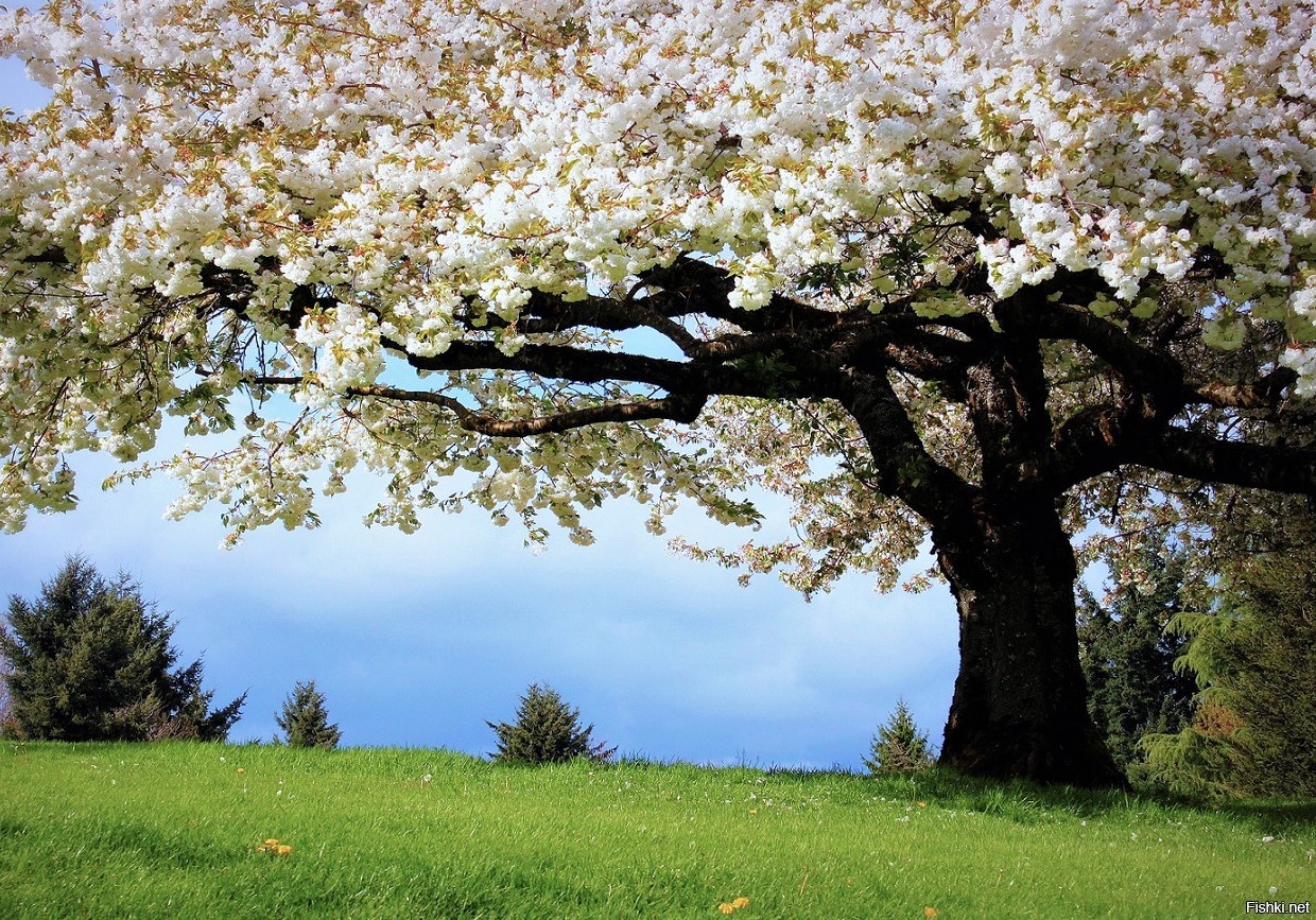 Скоро, совсем скоро