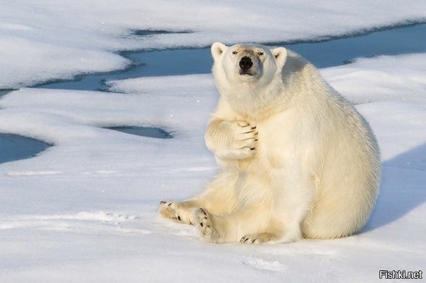 &quot;У меня праздник