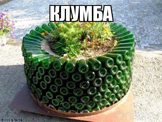Из солянки