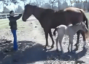 -Будь здоров