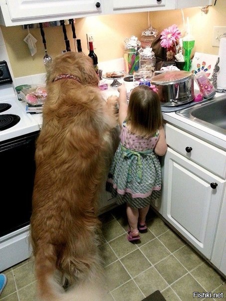 Вон там конфеты, доставай 