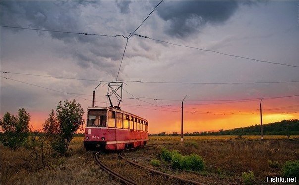 Как-то раз весной в начале мая