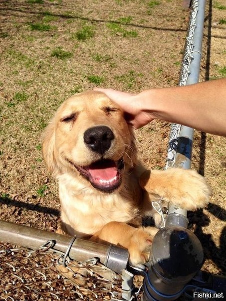 Ну привет, сосед 