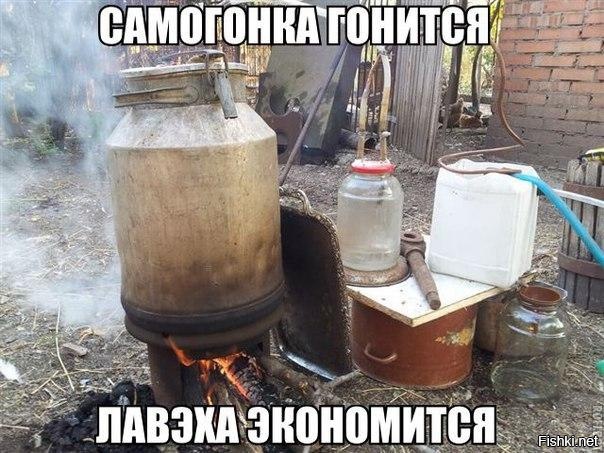 Из солянки