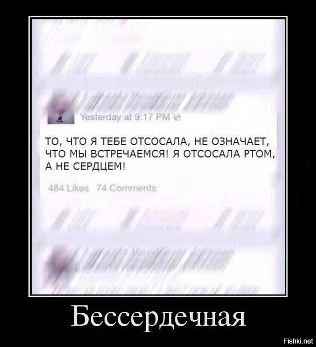 Из солянки