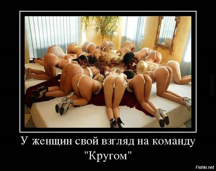 Из солянки
