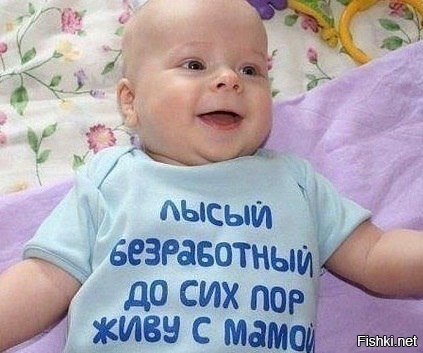 Из солянки