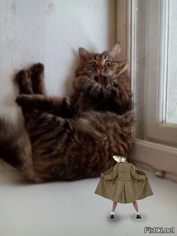 Мышь-эксбиционист