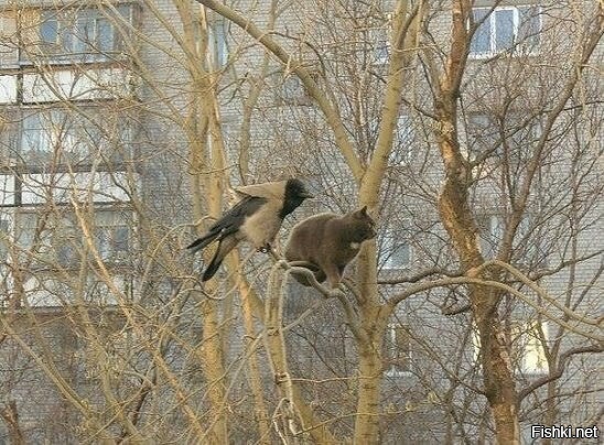 Хорошо сидим 