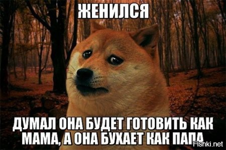 Из солянки