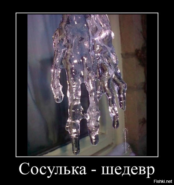 Из солянки