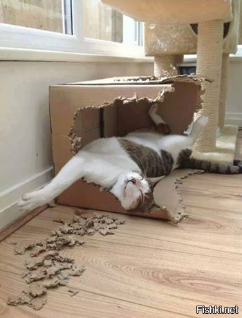 Задолбался