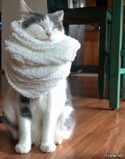 Когда болит горлышко