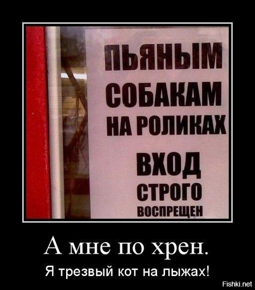 Из солянки